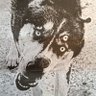 RuPert's profile picture