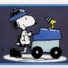 Scott's profile picture