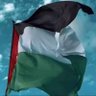 Mohamed Nagy's profile picture