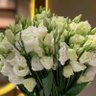 Фото профиля zcxhhi