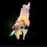Profilbild von ﺍﻟﺄﻣﻴر MoAllam