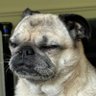 RenJ's profile picture