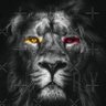 Фото профиля Lion King