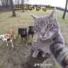 ياسر القدوم profil fotoğrafı