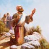 Job 1:21's profile picture