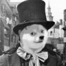 Artful Doge-R 的头像
