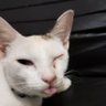 Myky's profile picture