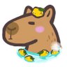 ちょこかめら 的头像