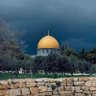🇾🇪شبل اليمن🇵🇸 profil fotoğrafı
