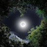 عبد الرحمان's profile picture