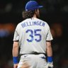 Bellinger truther profil fotoğrafı