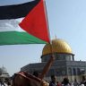 Фото профиля 🇵🇸🇵🇸🇵🇸