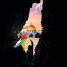 Profilbild von أحمد سمير