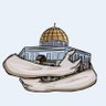suzan ᥫ᭡🇵🇸💔 的头像