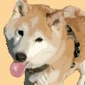 DTP屋の柴犬's profile picture