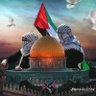 ضياء الحق's profile picture