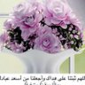 Profilbild von ابو امير