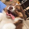 บิ้บบั้บ's profile picture