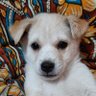 vir profil fotoğrafı