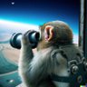 Baapu profil fotoğrafı