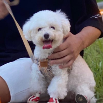 gf_snb's profile picture