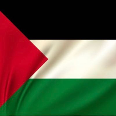 ahmedeltayeb888's profile picture