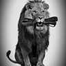 Maxsuell Santos❤️🖤🦁 profil fotoğrafı