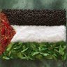Profilbild von Tariq abu amin