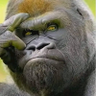 Richard Melody's profile picture