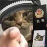 musasabi's profile picture