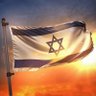 🇮🇱 ישראלי יהודי ודמוקרטי 🔥 的头像