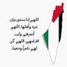 يوسف صلاح's profile picture
