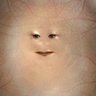 hadluck's profile picture
