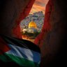 أبو فارس الشيخ's profile picture