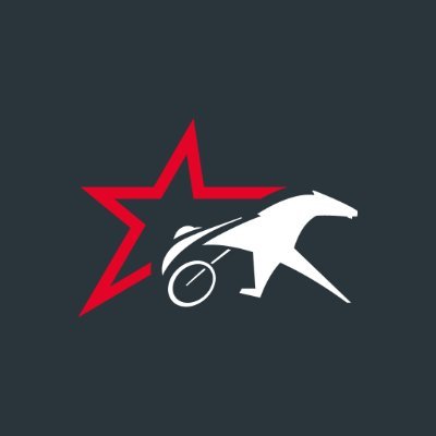 AmeriqueRaces's profile picture