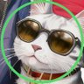 にゃんこ｜副業ならポイ活→暗号資産 的头像