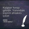 Murat Yolcu's profile picture