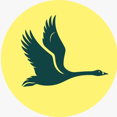 WWT Martin Mere's profile picture