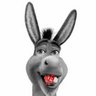kicking Donkey 的头像