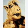 Profilbild von Alf