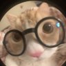 sara's profile picture