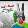 محمد الحسيني 的头像