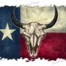 TexasNavyMom 的头像