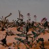 Фото профиля ابو عبدالعزيز