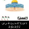 Amr profil fotoğrafı