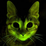 Profilbild von Blackhawk