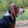 Parker profil fotoğrafı