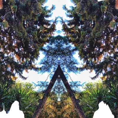 mountmeruu's profile picture