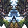 Фото профиля Hyperborea 卍