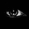 Profilbild von Eyal Ronen